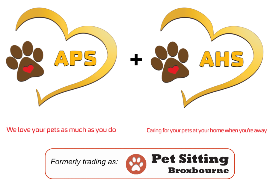 Ace Pet Sitters Logo